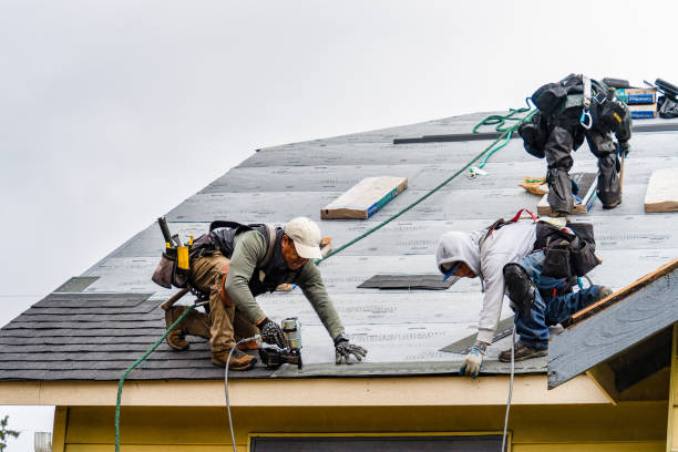 Professional Roofing technician working in Hallwood, VA